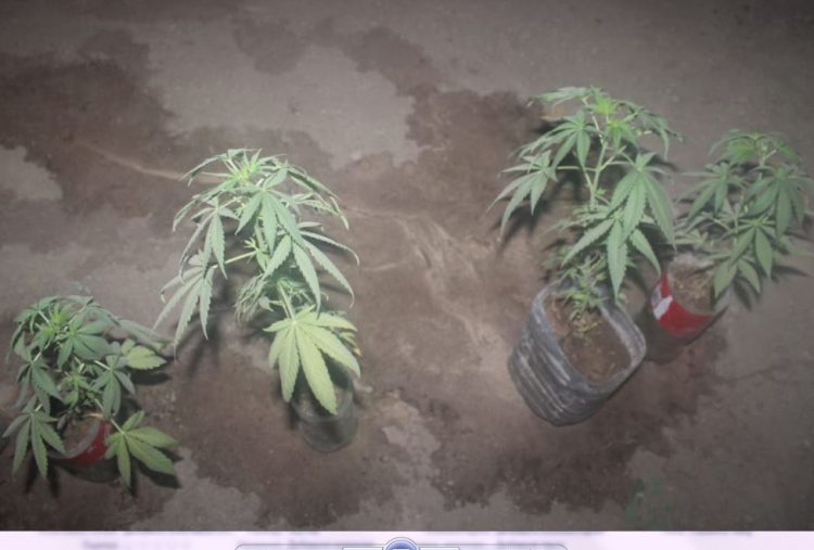 Сора өсірген тұрғынды ұстады