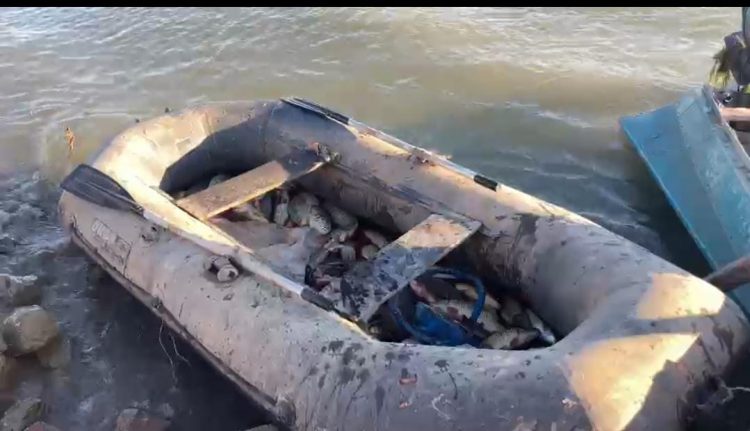 Ордабасылық  полицейлер 105 дана заңсыз балық аулаған 2 күдіктіні ұстады