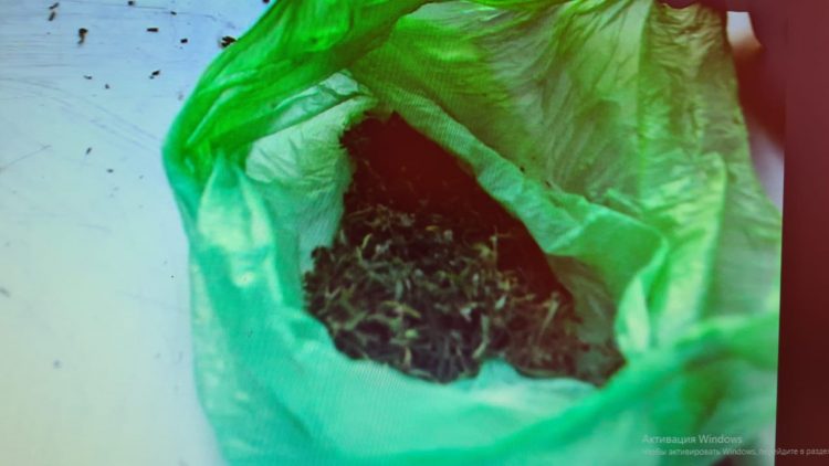 Марихуана тәркіледі