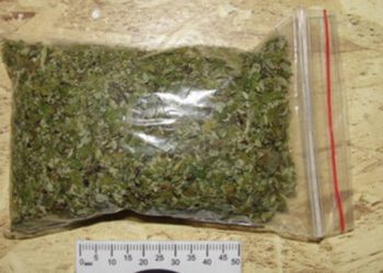 Үйінде 250 грамм есірткі затын  сақтаған  азаматты  анықтады