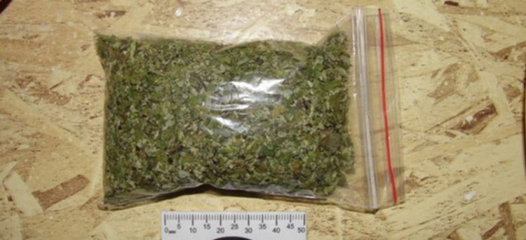 Үйінде 250 грамм есірткі затын сақтаған азаматты анықтады