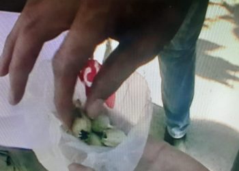 Түркістан  полицейлері жаяу жүргіншіден «көкнәр» тәркіледі