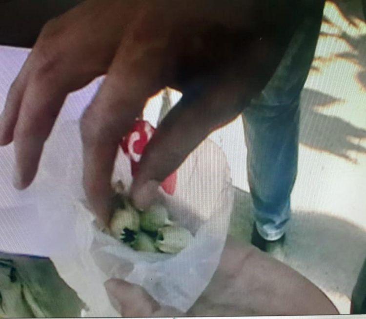 Түркістан  полицейлері жаяу жүргіншіден «көкнәр» тәркіледі