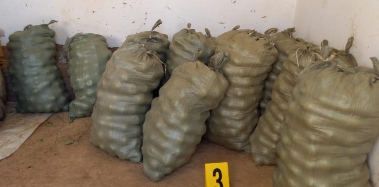 1,5 тонна  алма ұрлаған күдіктілерді  ұстады