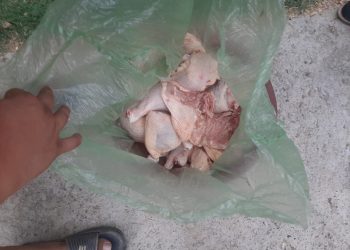 Тауық етін ұрлаған егде жастағы азаматты анықтады