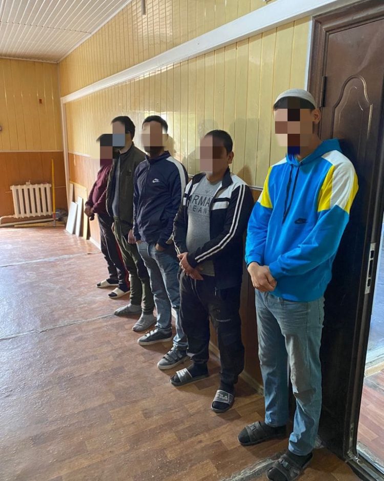 Түркістанның көші-қон полицейлері заңсыз еңбек етіп жүрген 7 шетел азаматын анықтады