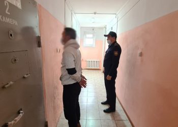 Түркістан облысының полицейлері жайылымнан қойларды ұрлаған күдіктіні ұстады