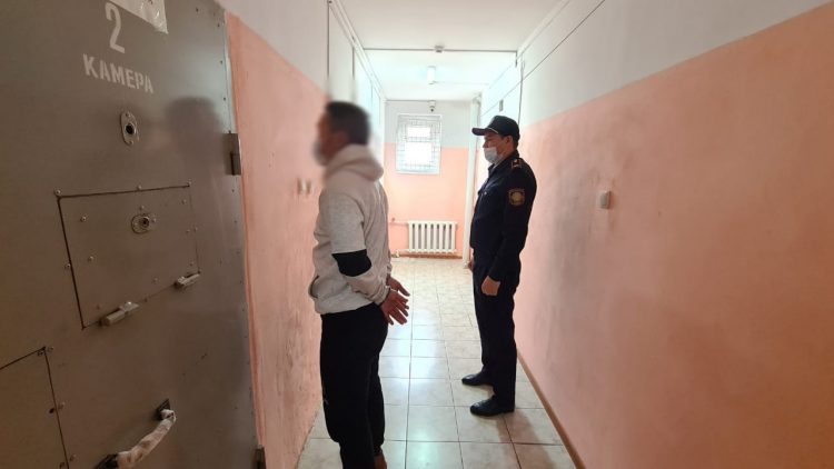 Түркістан облысының полицейлері жайылымнан қойларды ұрлаған күдіктіні ұстады