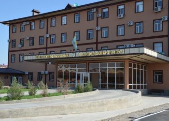 Түркістан облысының полицейлері мал ұрлығының 10 жайтын ашты