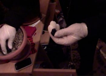 Түркістан облысының полицейлері шымкенттік жас жігіттен синтетикалық есірткі мен қару тапты