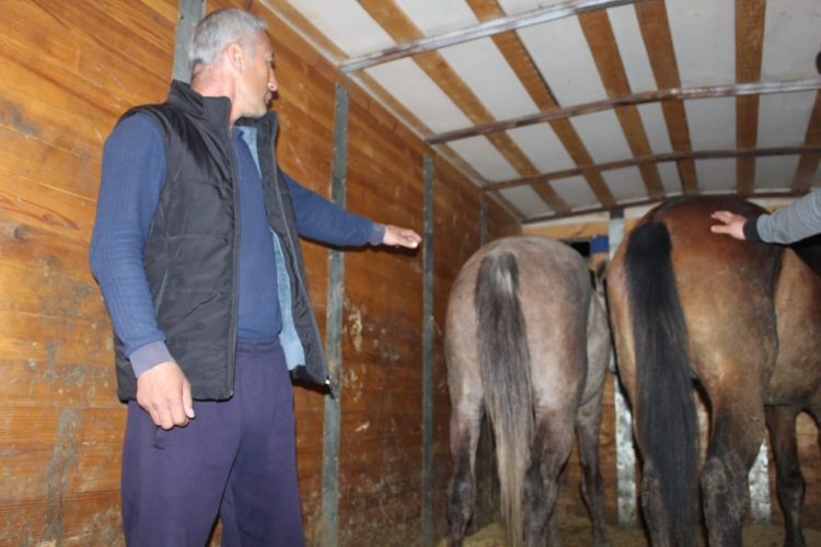 Полицейлер жергілікті екі тұрғынның ірі қара малдарын ұрлап, 3 миллионнан астам шығын келтірген күдікті ер адамды ұстады