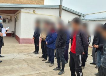 Ордабасы ауданында «Мигрант» іс-шарасы кезінде 12 шетел азаматы елден шығарылды