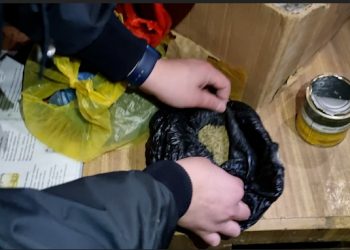 Түркістан облысының полицейлері «Дәрмек» жедел-профилактикалық іс-шарасын қорытындылады