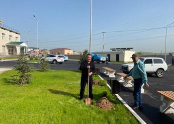 Сарыағаш ауданы бас полицейінің қатысуымен абаттандыру, тал егу жұмыстары жүргізілді