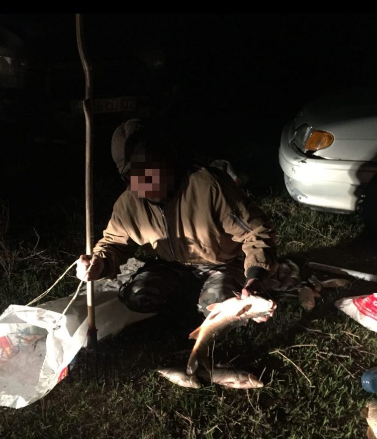 Түркістан облысының полицейлері шанышқы қолданып, заңсыз мөңке балығын аулаған 2 браконьерді ұстады