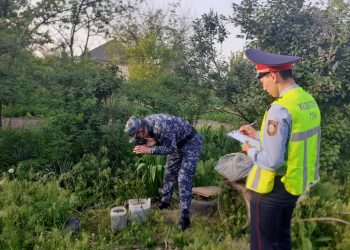 Полицейлер үйінде сора  өсірген тұрғынды анықтады