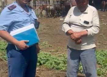 Полицейлер жоғалған жылқыларды тауып, иесіне қайтарды