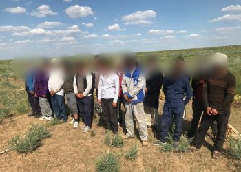 Полицейлер кеурек дәрілік шөбін қазып, заңсыз жұмыс істеп жүрген  23-шетелдікті анықтады