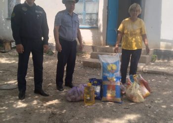 Бәйдібек ауданы полиция қызметкерлері, жалғыз басты анаға қайырымдылық көрсетті