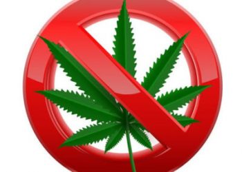 Полицейлер ауыл тұрғынының үйінен есірткі затын тәркіледі