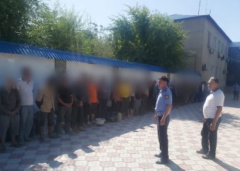 Полицейлер рейдтік шара кезінде кеурек өсімдігін қазған 51 шетелдікті анықтады