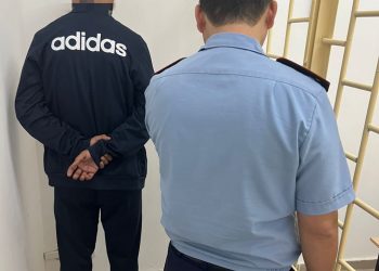 Түркістан облысының полицейлері халықаралық іздеуде жүрген шетелдікті ұстады