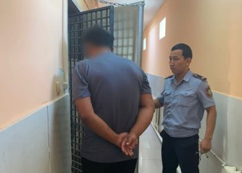 Жайылымнан мал ұрлаған шетелдік екі азамат қамауға алынды