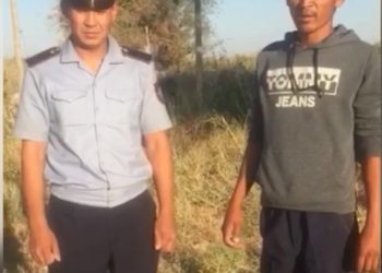 Түркістан полицейлері тұрғынның жоғалған сиырларын тауып, алғыс алды