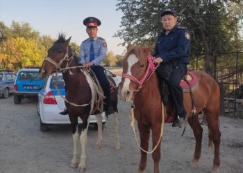 Полицейлер жол бойын қараусыз жайылып жүрген малдардан тазартуда