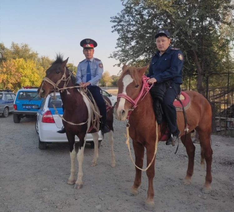 Полицейлер жол бойын қараусыз жайылып жүрген малдардан тазартуда