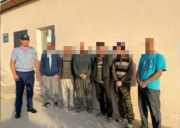 Полиция көші-қон заңнамасын бұзған 600 азаматты анықтады