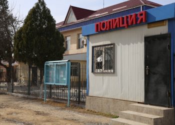 Түркістан облысында есірткі егіп, оны сақтаған 44 жастағы тұрғын сотты болды.