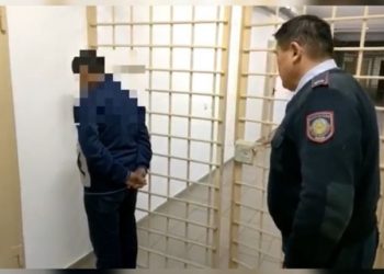 «Пират»  атты қызметтік ит шетелдіктен есірткі табуға көмектесті