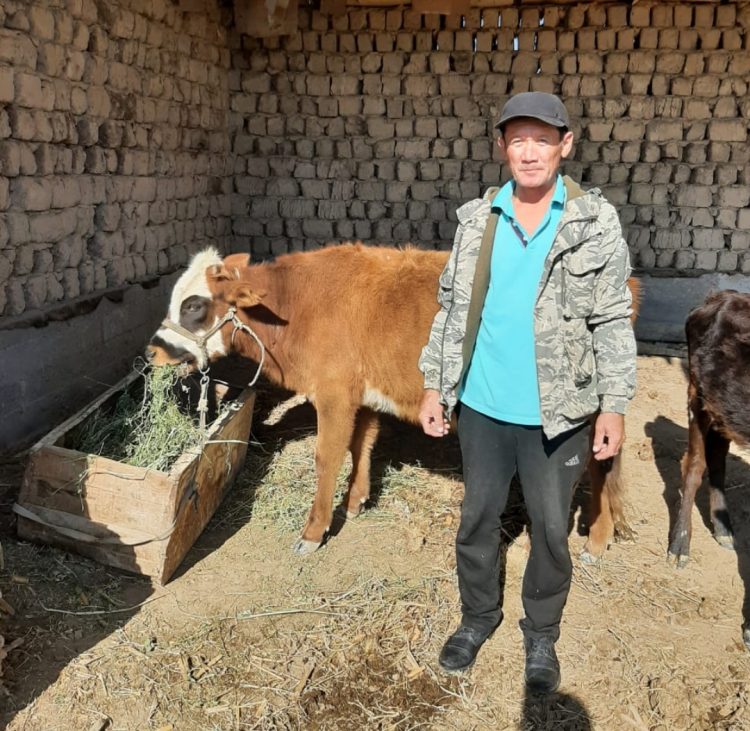 Түркістан облысының полицейлері тұрғынның жоғалған сиырын тауып беріп, алғыс алды