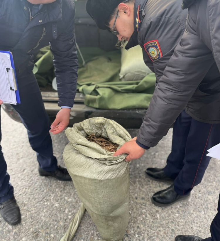 Түркістан облысының полицейлері жүргізушіден 20 келіден астам марихуана тәркіледі