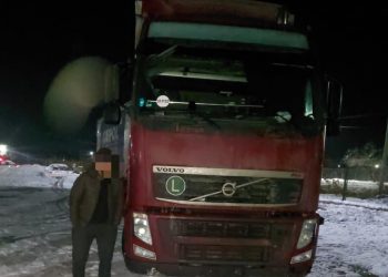 Мас халде көлік басқарған шетел  азаматына қатысты сот үкімі шықты