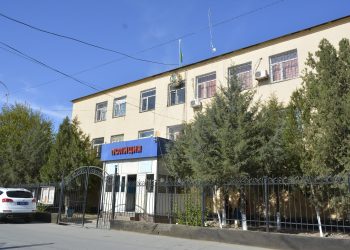 Түркістан облысында бақташы бөтеннің  350 мың теңге тұратын жылқысын  ысырап етіп, жоқ қылған