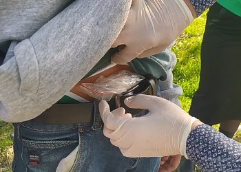 Шымкент: Синтетикалық есірткілерді таратуға келген Алматы қаласының тұрғыны ұсталды